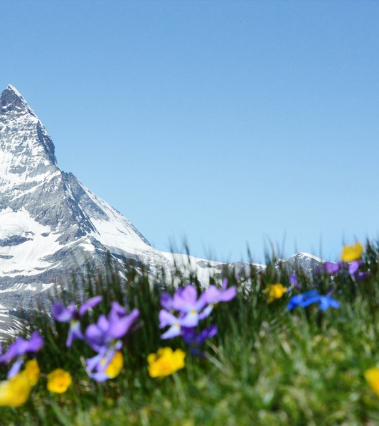 Nanchang Xinggan Sci-tech Industrial Co., Ltd.